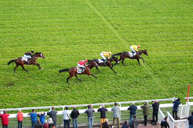 Photo d'arrivée de la course pmu PRIX CARMARTHEN à AUTEUIL le Dimanche 11 octobre 2015