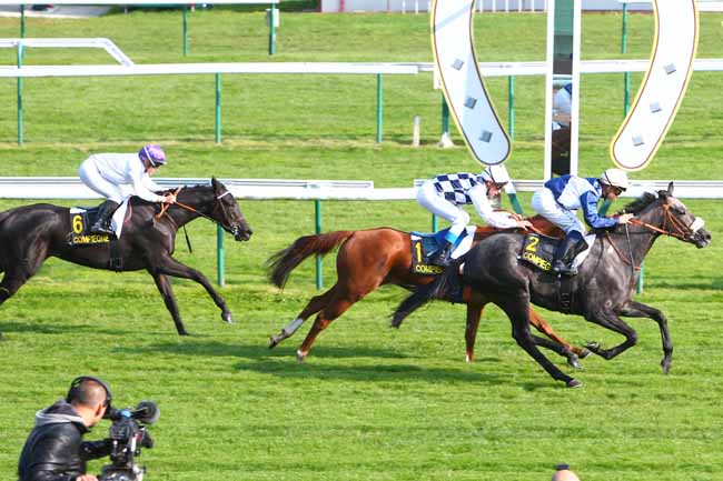 Photo d'arrivée de la course pmu PRIX DE LA DIVETTE à COMPIEGNE le Mardi 13 octobre 2015