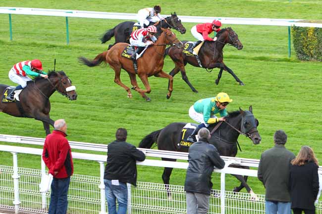 Photo d'arrivée de la course pmu PRIX DE JONQUIERES à COMPIEGNE le Mardi 13 octobre 2015