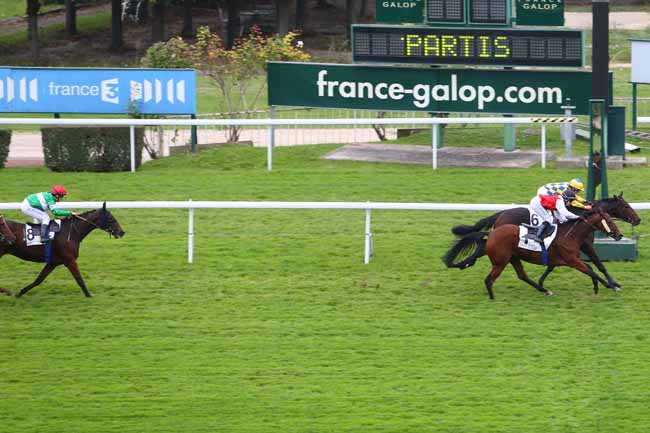 Photo d'arrivée de la course pmu PRIX DE CHEVREUSE à SAINT-CLOUD le Mercredi 14 octobre 2015
