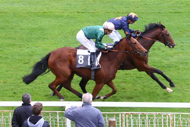 Photo d'arrivée de la course pmu PRIX DU BOIS NOTRE-DAME à FONTAINEBLEAU le Jeudi 15 octobre 2015