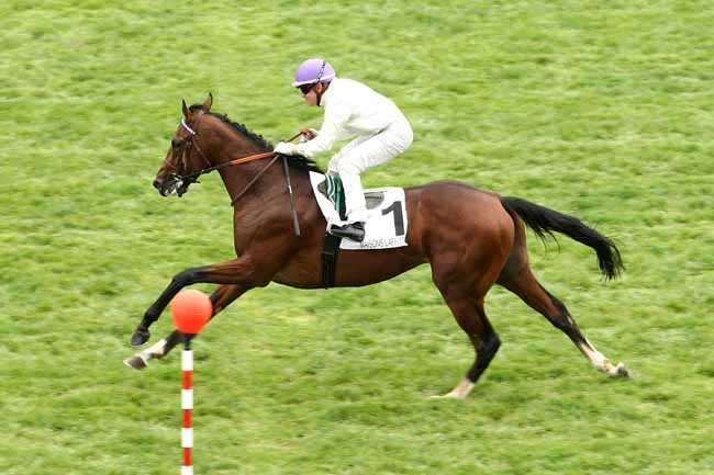 Photo d'arrivée de la course pmu PRIX AS D'ATOUT à MAISONS-LAFFITTE le Vendredi 16 octobre 2015