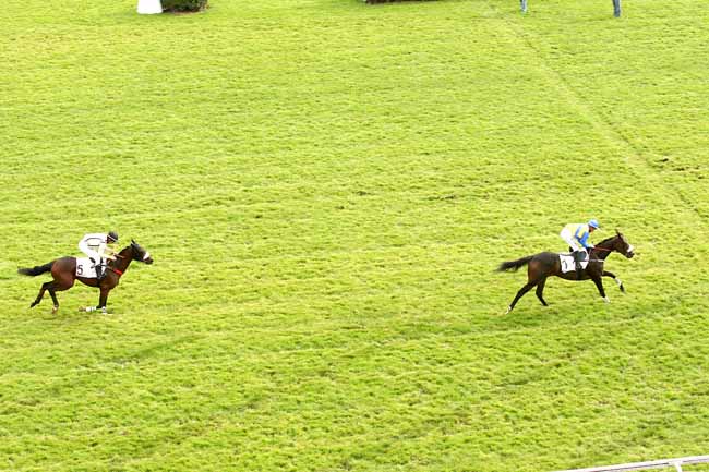 Photo d'arrivée de la course pmu PRIX MAGNE à AUTEUIL le Samedi 17 octobre 2015