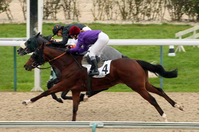 Photo d'arrivée de la course pmu PRIX DE SAINT-MARS-D'EGRENNE à DEAUVILLE le Lundi 19 octobre 2015