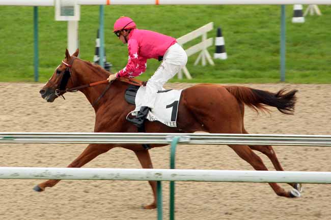 Photo d'arrivée de la course pmu PRIX DU VAL MARTIN à DEAUVILLE le Lundi 19 octobre 2015