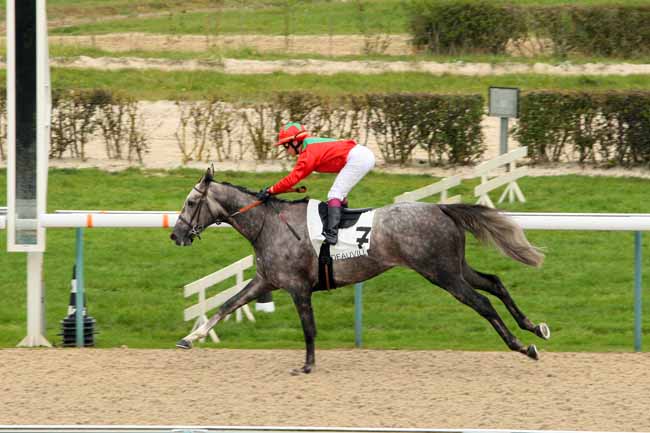 Photo d'arrivée de la course pmu PRIX DE BROCOTTE à DEAUVILLE le Lundi 19 octobre 2015