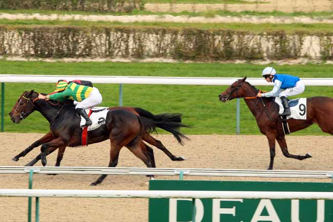 Photo d'arrivée de la course pmu PRIX DU PRE LE HOUX à DEAUVILLE le Lundi 19 octobre 2015