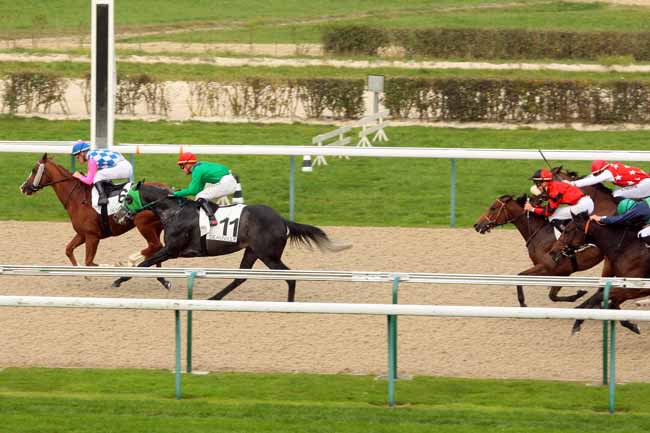 Photo d'arrivée de la course pmu PRIX DU CHEMIN DU MARAIS à DEAUVILLE le Lundi 19 octobre 2015