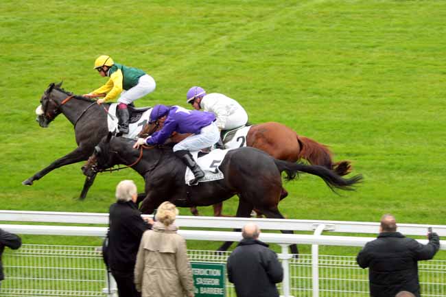 Photo d'arrivée de la course pmu PRIX DE LA BANCHE à DEAUVILLE le Mardi 20 octobre 2015