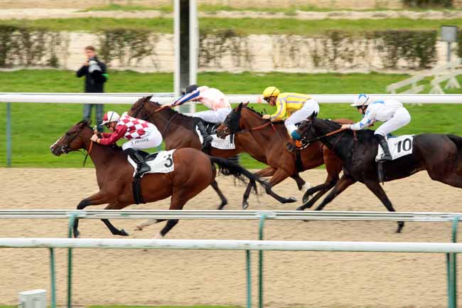 Photo d'arrivée de la course pmu PRIX DE LA PREVOTTE à DEAUVILLE le Mardi 20 octobre 2015
