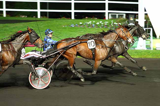Photo d'arrivée de la course pmu PRIX TIMOCHARIS à PARIS-VINCENNES le Mardi 20 octobre 2015