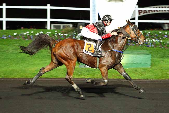 Photo d'arrivée de la course pmu PRIX BELLONA à PARIS-VINCENNES le Mardi 20 octobre 2015