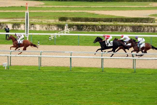 Photo d'arrivée de la course pmu PRIX DE LA PLACIERE à DEAUVILLE le Mercredi 21 octobre 2015