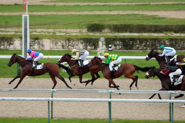 Photo d'arrivée de la course pmu PRIX DU GRAND MANEGE à DEAUVILLE le Mercredi 21 octobre 2015