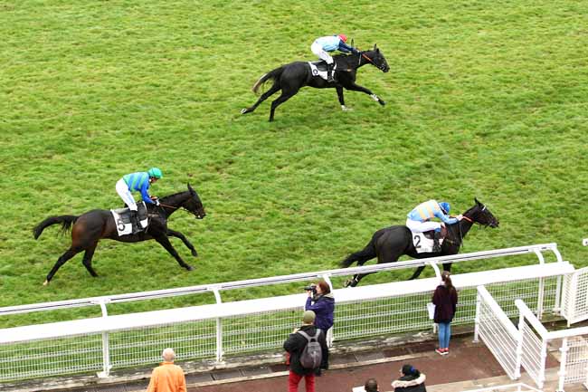 Photo d'arrivée de la course pmu PRIX MID DANCER à AUTEUIL le Jeudi 22 octobre 2015