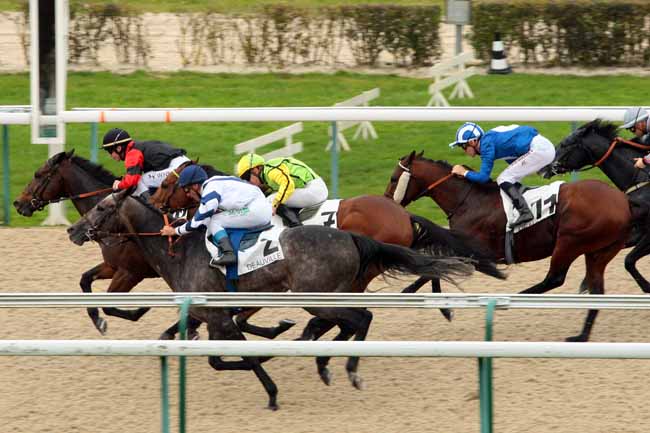 Photo d'arrivée de la course pmu PRIX DE LA MOTTERAYE à DEAUVILLE le Jeudi 22 octobre 2015