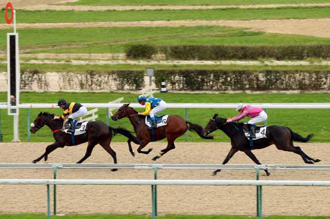 Photo d'arrivée de la course pmu PRIX GLORIA IV à DEAUVILLE le Vendredi 23 octobre 2015