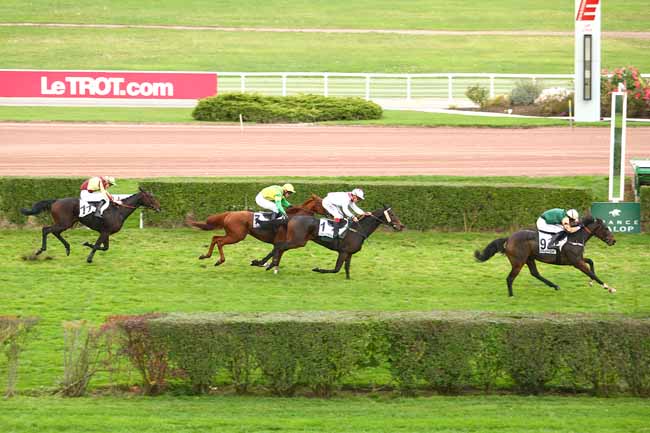 Photo d'arrivée de la course pmu PRIX DU TREPORT à ENGHIEN le Samedi 24 octobre 2015