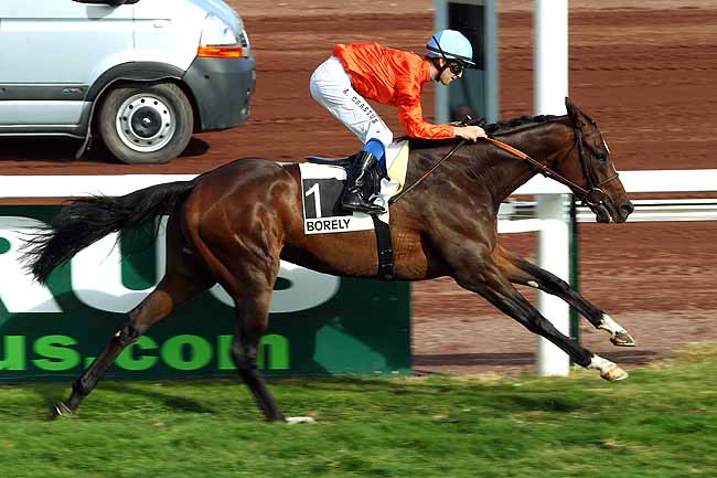 Photo d'arrivée de la course pmu GRAND HANDICAP DE MARSEILLE à MARSEILLE-BORELY le Lundi 26 octobre 2015