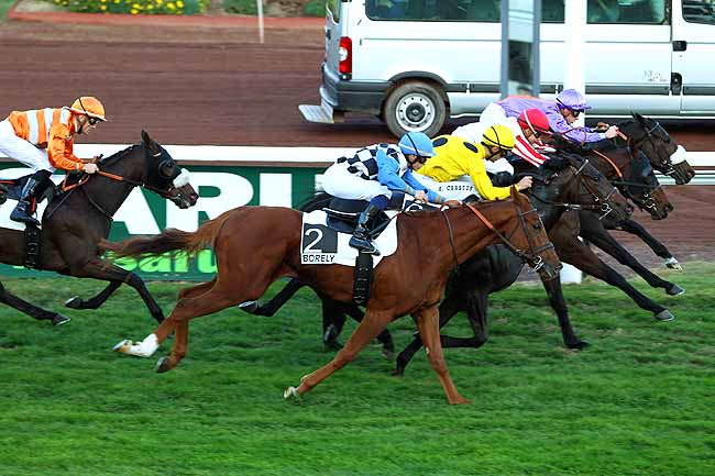 Photo d'arrivée de la course pmu PRIX DE L'ASSOCIATION DES JOCKEYS à MARSEILLE-BORELY le Lundi 26 octobre 2015