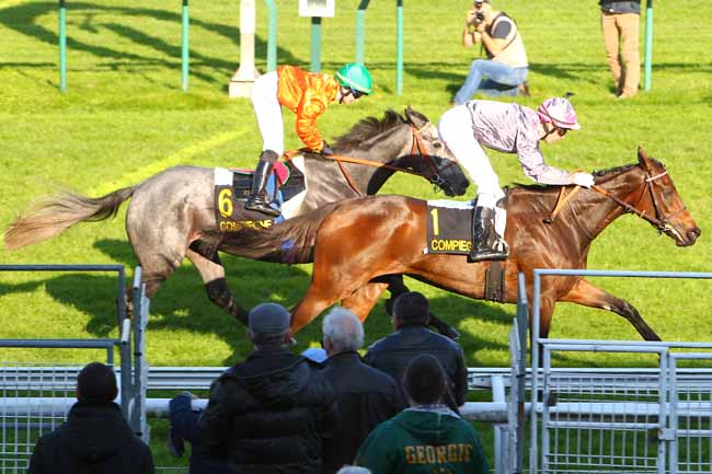 Photo d'arrivée de la course pmu PRIX DE LA MICHELETTE à COMPIEGNE le Lundi 26 octobre 2015