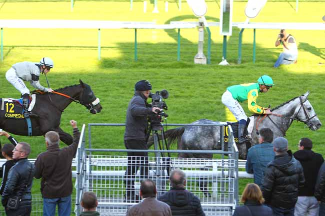 Photo d'arrivée de la course pmu PRIX POGGIO RICCO à COMPIEGNE le Lundi 26 octobre 2015