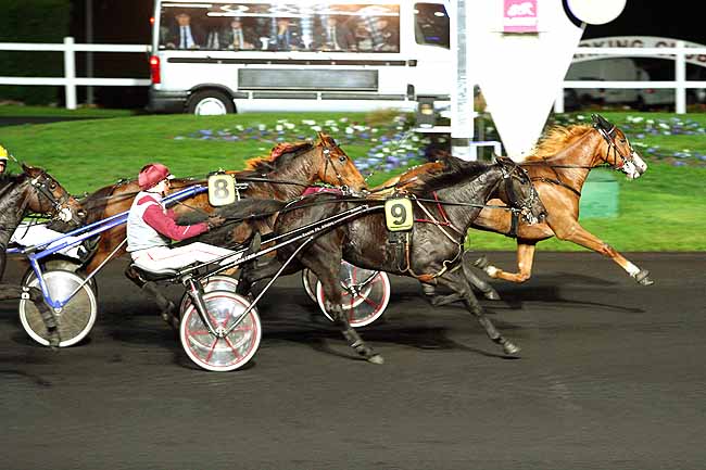 Photo d'arrivée de la course pmu PRIX MARCEL DEJEAN à PARIS-VINCENNES le Mardi 27 octobre 2015