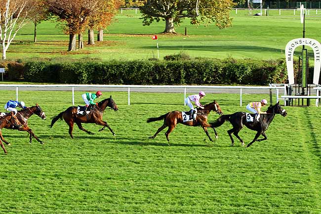 Photo d'arrivée de la course pmu PRIX DE BAZEMONT à MAISONS-LAFFITTE le Mercredi 28 octobre 2015