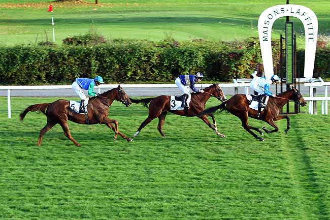 Photo d'arrivée de la course pmu PRIX DE LA HUME à MAISONS-LAFFITTE le Mercredi 28 octobre 2015