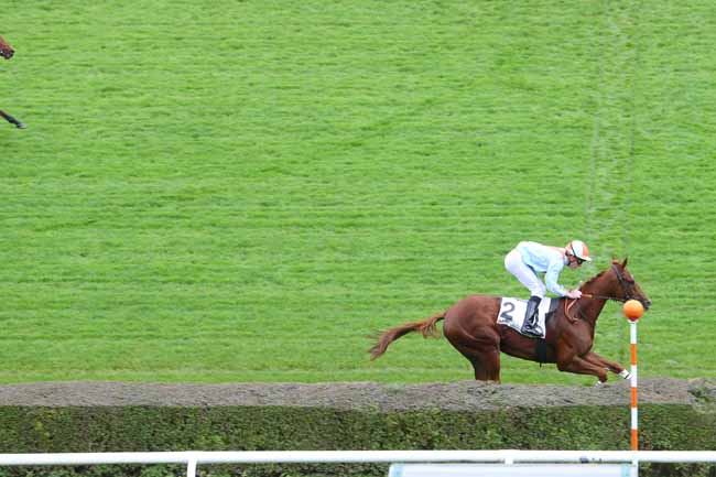 Photo d'arrivée de la course pmu PRIX DE SAINT-FORGET à SAINT-CLOUD le Jeudi 29 octobre 2015