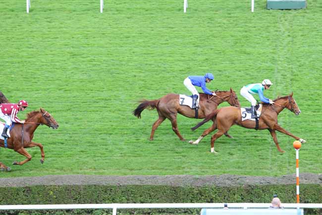 Photo d'arrivée de la course pmu PRIX ESMERALDA à SAINT-CLOUD le Jeudi 29 octobre 2015
