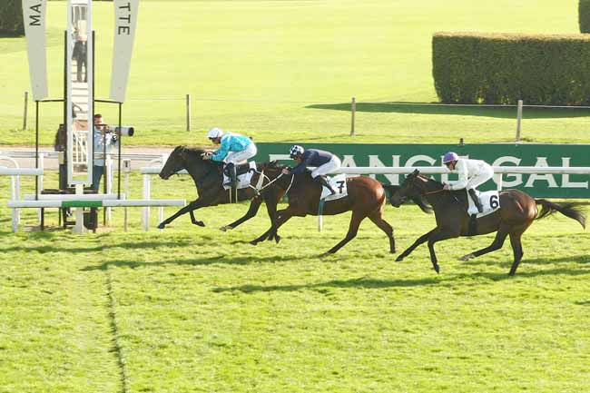 Photo d'arrivée de la course pmu PRIX KENDOR à MAISONS-LAFFITTE le Samedi 31 octobre 2015