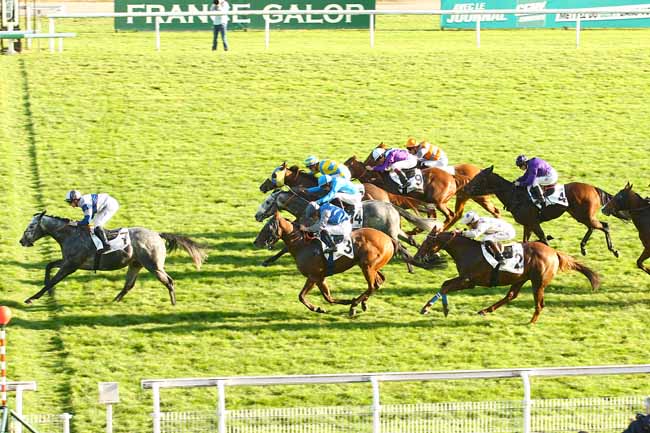Photo d'arrivée de la course pmu PRIX DU REY à MAISONS-LAFFITTE le Samedi 31 octobre 2015