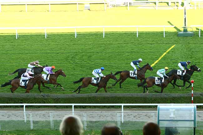 Photo d'arrivée de la course pmu PRIX DU MANOIR à SAINT-CLOUD le Dimanche 1 novembre 2015