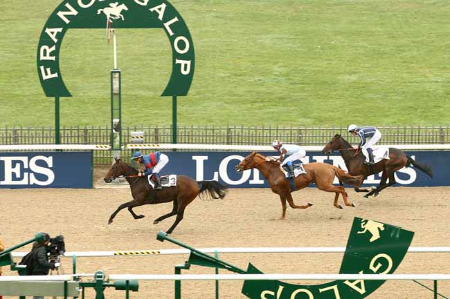 Photo d'arrivée de la course pmu PRIX DU CARREFOUR SAINTE-MARGUERITE à CHANTILLY le Lundi 2 novembre 2015
