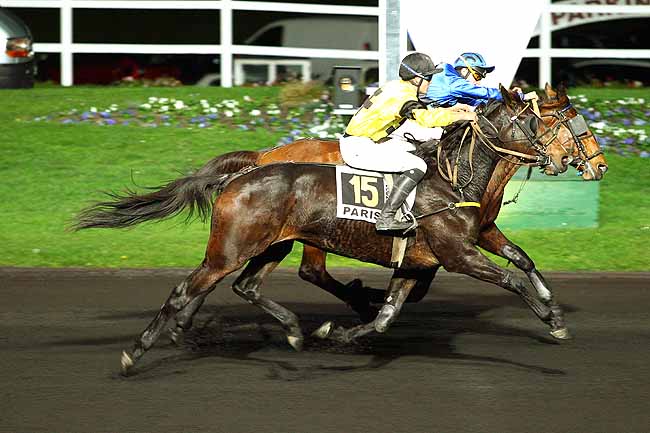 Photo d'arrivée de la course pmu PRIX LACERTA à PARIS-VINCENNES le Mardi 3 novembre 2015