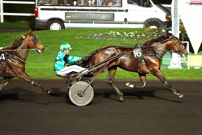 Photo d'arrivée de la course pmu PRIX MEDUSA à PARIS-VINCENNES le Mardi 3 novembre 2015