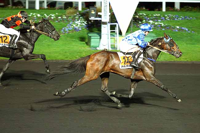 Photo d'arrivée de la course pmu PRIX EDNA à PARIS-VINCENNES le Mardi 3 novembre 2015