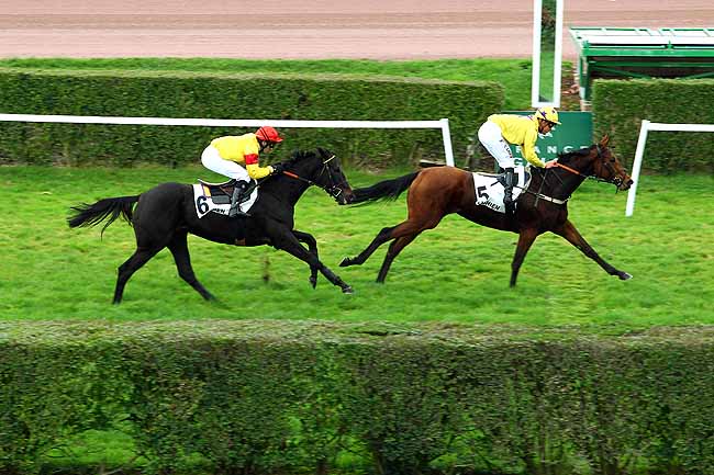 Photo d'arrivée de la course pmu PRIX LA FREGATE à ENGHIEN le Mercredi 4 novembre 2015