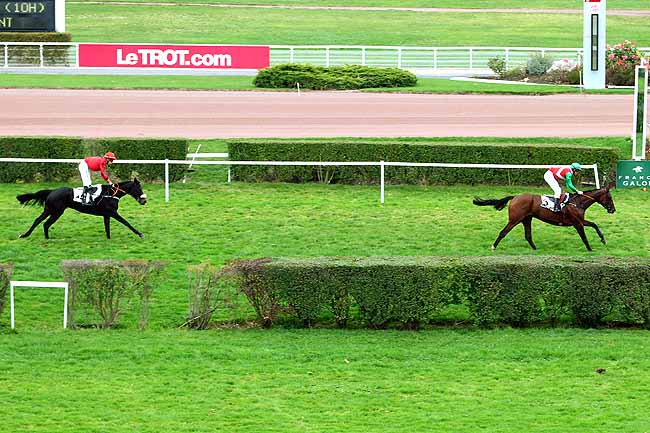 Photo d'arrivée de la course pmu PRIX CERILLY à ENGHIEN le Mercredi 4 novembre 2015