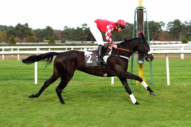 Photo d'arrivée de la course pmu PRIX PRINCESSE D'ANJOU à FONTAINEBLEAU le Jeudi 5 novembre 2015