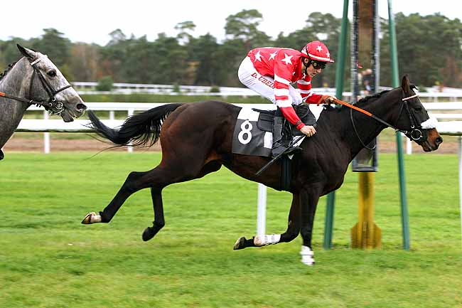 Photo d'arrivée de la course pmu PRIX DU BARON MAURICE DE NEXON à FONTAINEBLEAU le Jeudi 5 novembre 2015