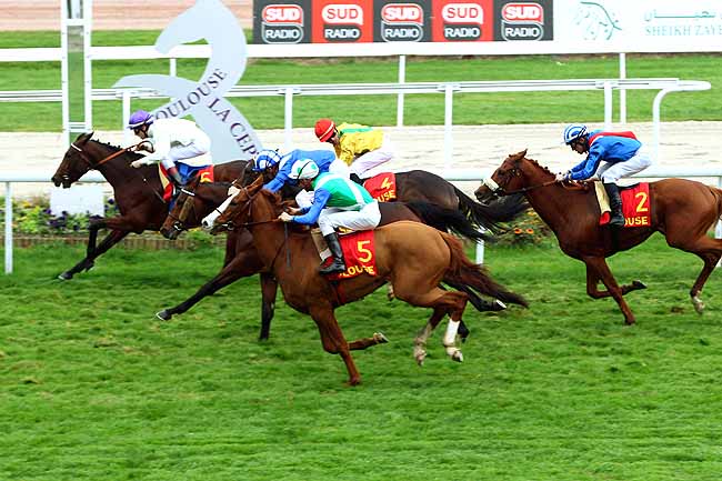 Photo d'arrivée de la course pmu CRITERIUM DU LANGUEDOC - PRIX BERNARD DE MARMIESSE à TOULOUSE le Mercredi 11 novembre 2015