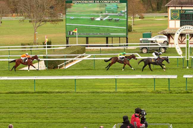 Photo d'arrivée de la course pmu PRIX CHOUTE à COMPIEGNE le Samedi 14 novembre 2015