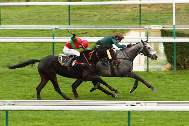Photo d'arrivée de la course pmu PRIX DU CHAMP DE MARS à COMPIEGNE le Samedi 14 novembre 2015