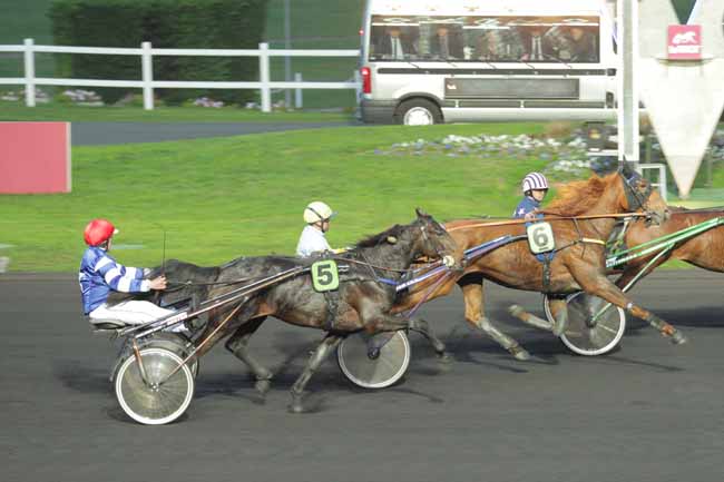 Photo d'arrivée de la course pmu PRIX DES BIGNONES à PARIS-VINCENNES le Lundi 16 novembre 2015