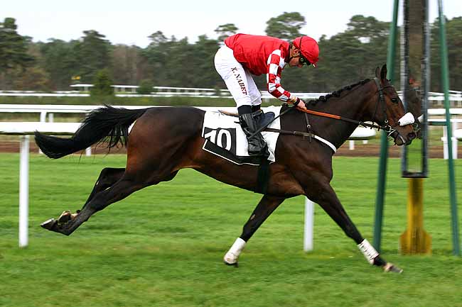 Photo d'arrivée de la course pmu PRIX DES GENETS à FONTAINEBLEAU le Lundi 16 novembre 2015