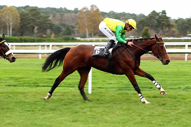 Photo d'arrivée de la course pmu PRIX DE THOMERY à FONTAINEBLEAU le Lundi 16 novembre 2015