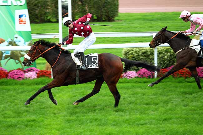 Photo d'arrivée de la course pmu PRIX CLAUDE MUNET à ANGERS le Mardi 17 novembre 2015