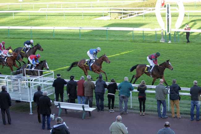 Photo d'arrivée de la course pmu PRIX DE LA CHATAIGNERAIE à COMPIEGNE le Mercredi 18 novembre 2015